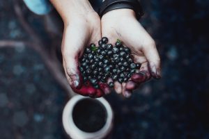 عصير التوت للالتهابات